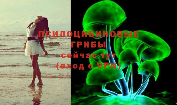 таблы Богородск