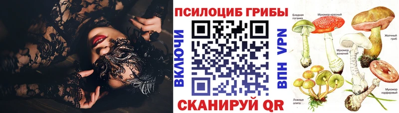 Псилоцибиновые грибы Cubensis Нерюнгри